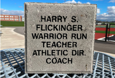 Defender Bricks Harry